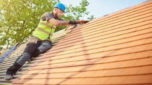 Best Roofing for New Construction  in Taylor, AZ