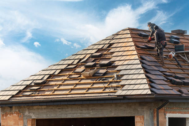 Best Rubber Roofing (EPDM, TPO)  in Taylor, AZ